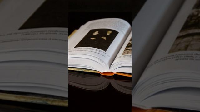 Как заказать печать книг дешево?