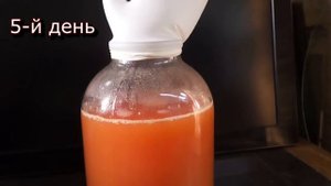 Домашнее вино из винного гриба за две недели у себя дома. Вернее это винный напиток :)