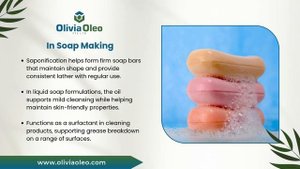 The Role of Palm Oil & Palm Kernel Oil in Foods, Soaps, & Other Industries