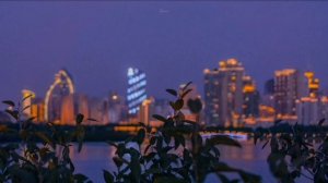 Аффирмации на ночь 🌙 Глубокий сон ✨️ Жизнь мечты! #аф