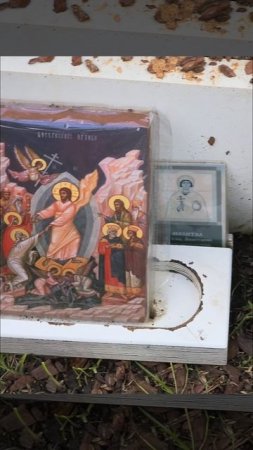 Анастасия Заворотнюк Год как ушла, памятника не будет?