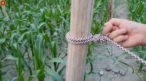 Very few people know these knots! A smart node