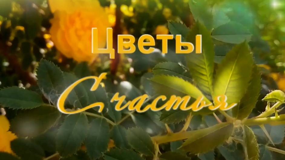 21 июня международный день цветка. Цветы счастья, красивая музыка
