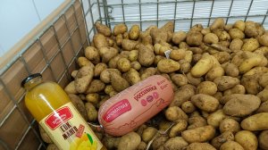 Молодой картофель, авокадо в «Светофоре» и другие полезные товары по низким ценам.