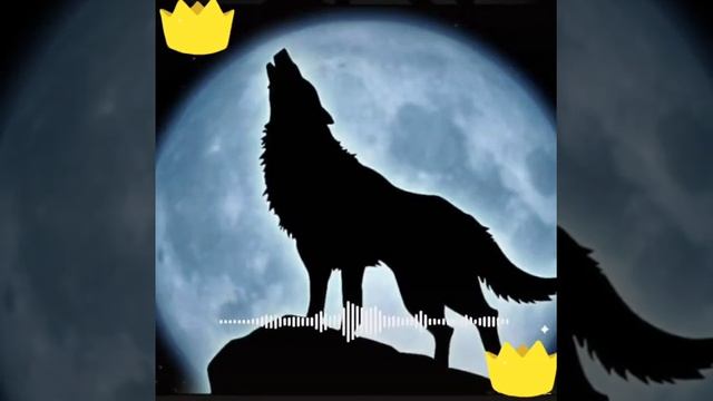 S9-Моя Мила Милая《Maya Mila Milaya》 Remix Bass смотреть онлайн