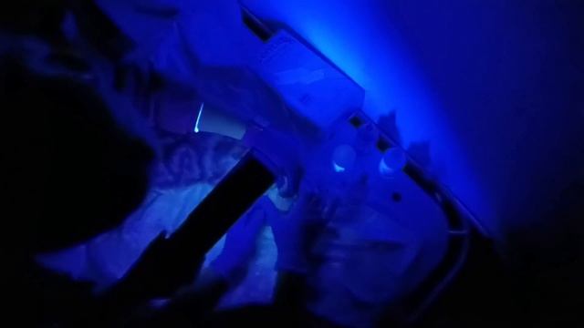 Хэппи-энд для скоттиш-страйт! Спустя боль и предательство – обрела СЕМЬЮ! | Аришка