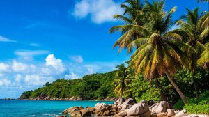 Где остановиться: Топ-10 роскошных отелей Сейшел