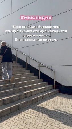 Мысль дня