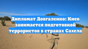Дипломат Довгаленко: Киев занимается подготовкой террористов в странах Сахела