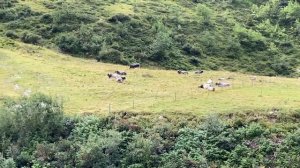 Подъем к водопаду -2- (сначала дойти и пообедать в хижине)