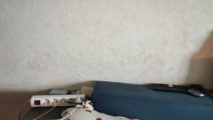 Дом полон крысиков