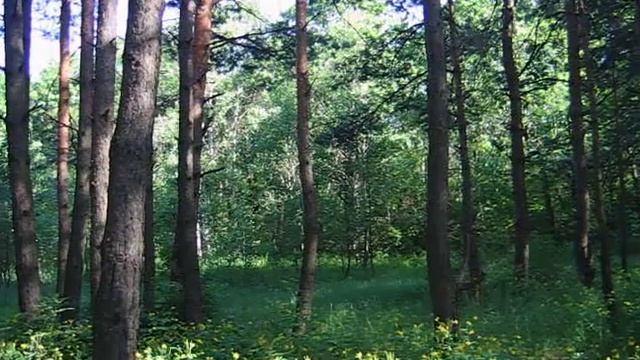 Весенние эскизы смотреть онлайн