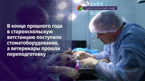 Бор-машина, зеркало, элеватор. Уже испугались?