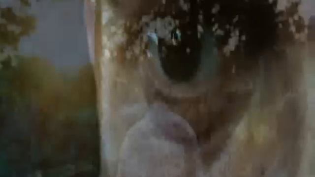 "Охота" на пиранью". Моя версия спасения мира:) смотреть онлайн