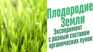 Эксперименты на растениях.