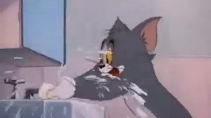 Карантин - Кот в крапинку