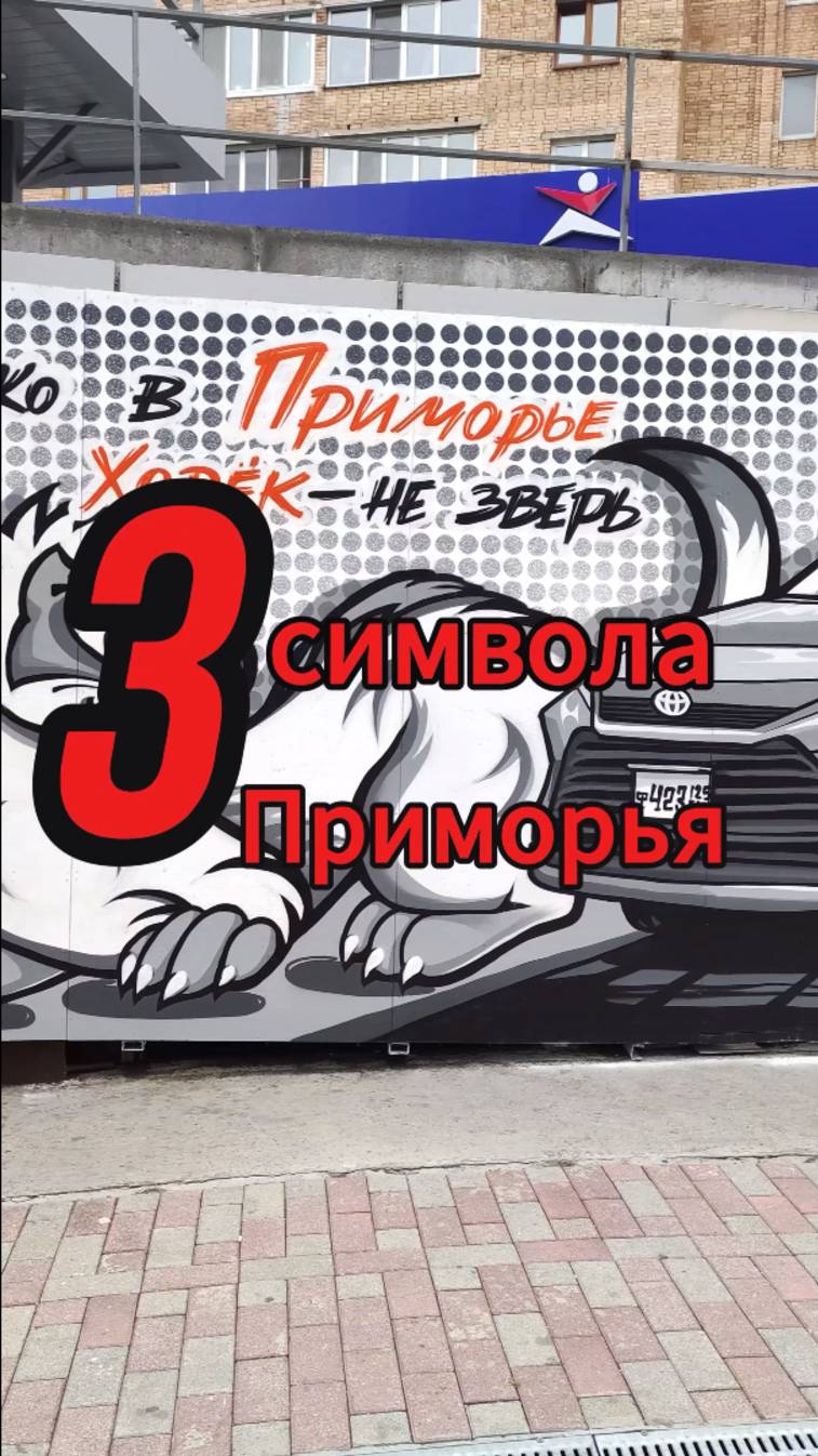 3 Символа Приморья. Картины на стене Владивостока. Символы столицы Дальнего Востока России #shorts