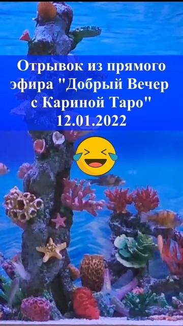 О Предназначении коротко и ёмко