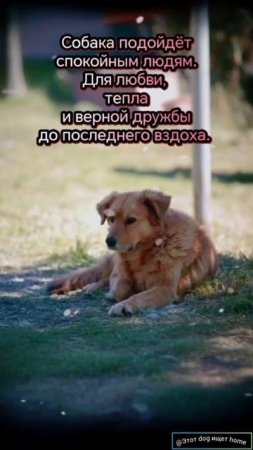 Хочу найти добро.