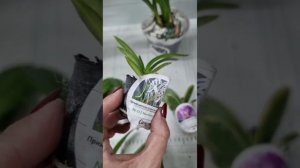 жду ещё новинки...красоты много не бывает...