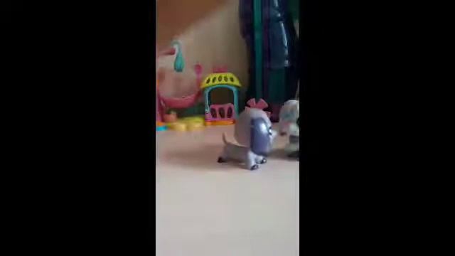 Не судите строго , первое видео с петами👆💖😁💖😁💖😇 смотреть онлайн