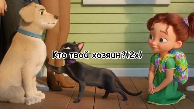 Мультфильм:Удача