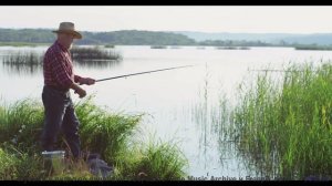 Музыка наполняет мир красками внутри и снаружи - Daisy -- Les Hayden -- Home