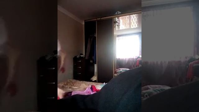 Урок паркура первый раз смотреть онлайн