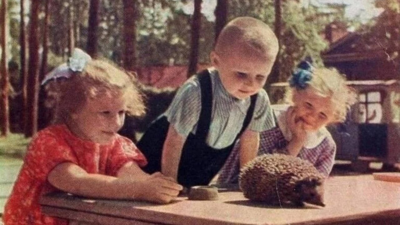 ДНЮ ЗАЩИТЫ ДЕТЕЙ ПОСВЯЩАЕТСЯ... Вернуться бы в детство! Город детства...