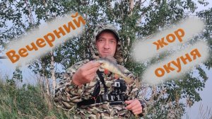 Попали под раздачу, Сорога монстр, крупный Окунь, Щука