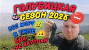 ГОЛУБИЦКАЯ👎СЕЗОНА 2025 НЕ БУДЕТ⛔😱МОРЕ В ТИНЕ🤢ЕДА НЕ ВКУСНАЯ🤮ЖЕСТЬ😱😱😱