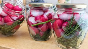 Как хранить РЕДИСКУ целый год без холодильника! Приготовь даже 100 банок – все съедят