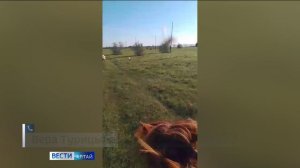 «Вести Алтай» за 29 мая 2025 года