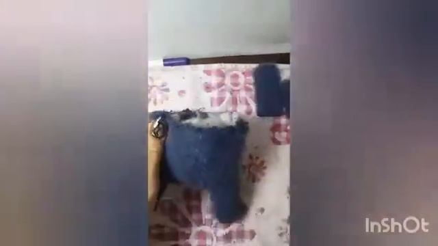 Студия "Мозаика", преподаватель Нанаева Е.Р., тема урока "Изготовление зайца из перчатки". смотреть онлайн