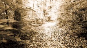 Atmospheric Dub Techno Askprojekt   Floating