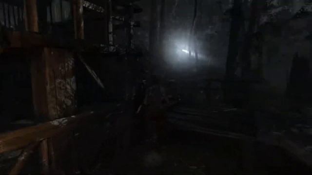 Tomb Raider (Cерия 18) Гробница храм стражей смотреть онлайн