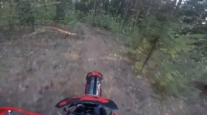 Покатушка по ЛЕСУ/ЭНДУРО НА BSE Z1