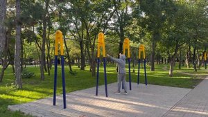 Финал: 100 подтягиваний в день - Что произошло за 30 дней?