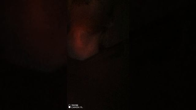 МОЯ НОВАЯ ИСТОРИЯ #блог #жрущийутилизатор #москва смотреть онлайн