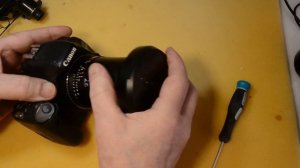 Carl Zeiss Distagon 2,8/21 Ну, "нет повести печальнее на свете". Lensse