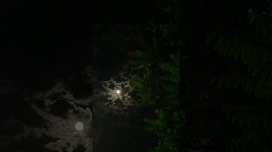 Молчат Дома - Судно(Борис Рыжий)(speed up)