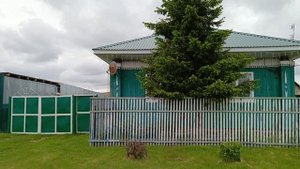 Начал съёмку про свою деревню Осинова