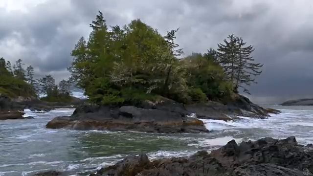 Crashing Waves, Steady Rain, & Rumbling Thunder | Thunderstorm and Ocean White Noise