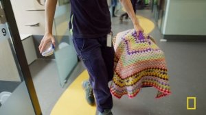 Vets in Australia (Full Episode) | Operation Pet Rescue | Nat Geo Animals