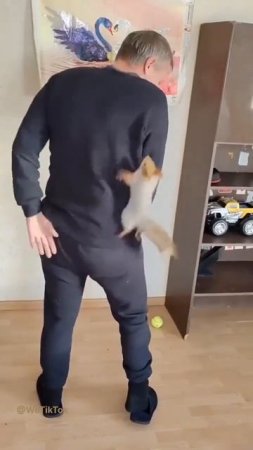 Поймай бельчёнка