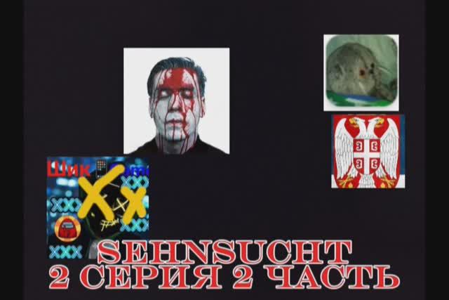 2 серия 2 часть сериал Sehnsucht
