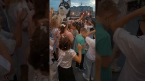 Хаски с Аляски #Хаски #ХаскисАляски #shorts