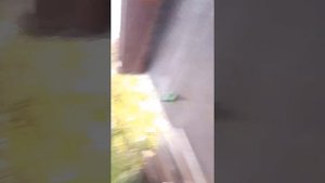 Чукчакидзе/1 сезон/ все серии/ сборник
#топыкатегорий