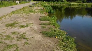 водные развлечения Лиса и Буча