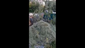Мусор пер. Октябрьский 4 и пер. Октябрьский 6.